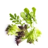 Hot Daylesford Organic Market Garden Mixed Salad Leaves