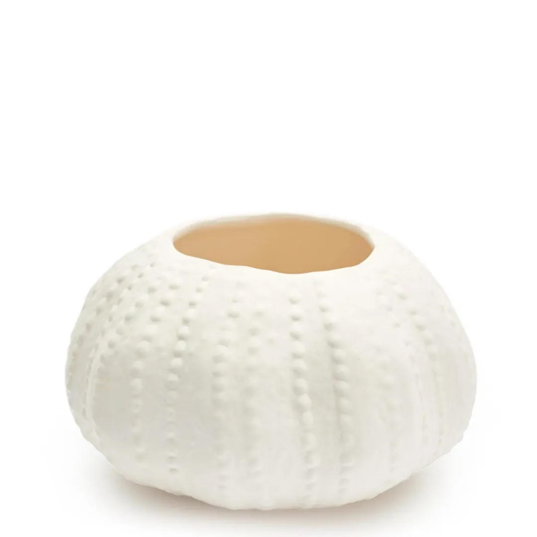 Sale Daylesford Organic Urchin bowl